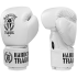 Боксерские перчатки Hardcore Training Helmet 