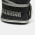 Перчатки для панкратиона и ММА Leon 1947 Training Black/Silver