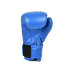 Боксёрские перчатки Cliff Club PVC синего цвета