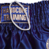 Тайские шорты Hardcore Training Base синие